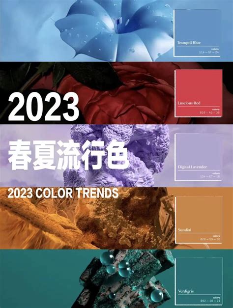 2023流行元素|2023年流行趋势，这些风格和元素依然延续！